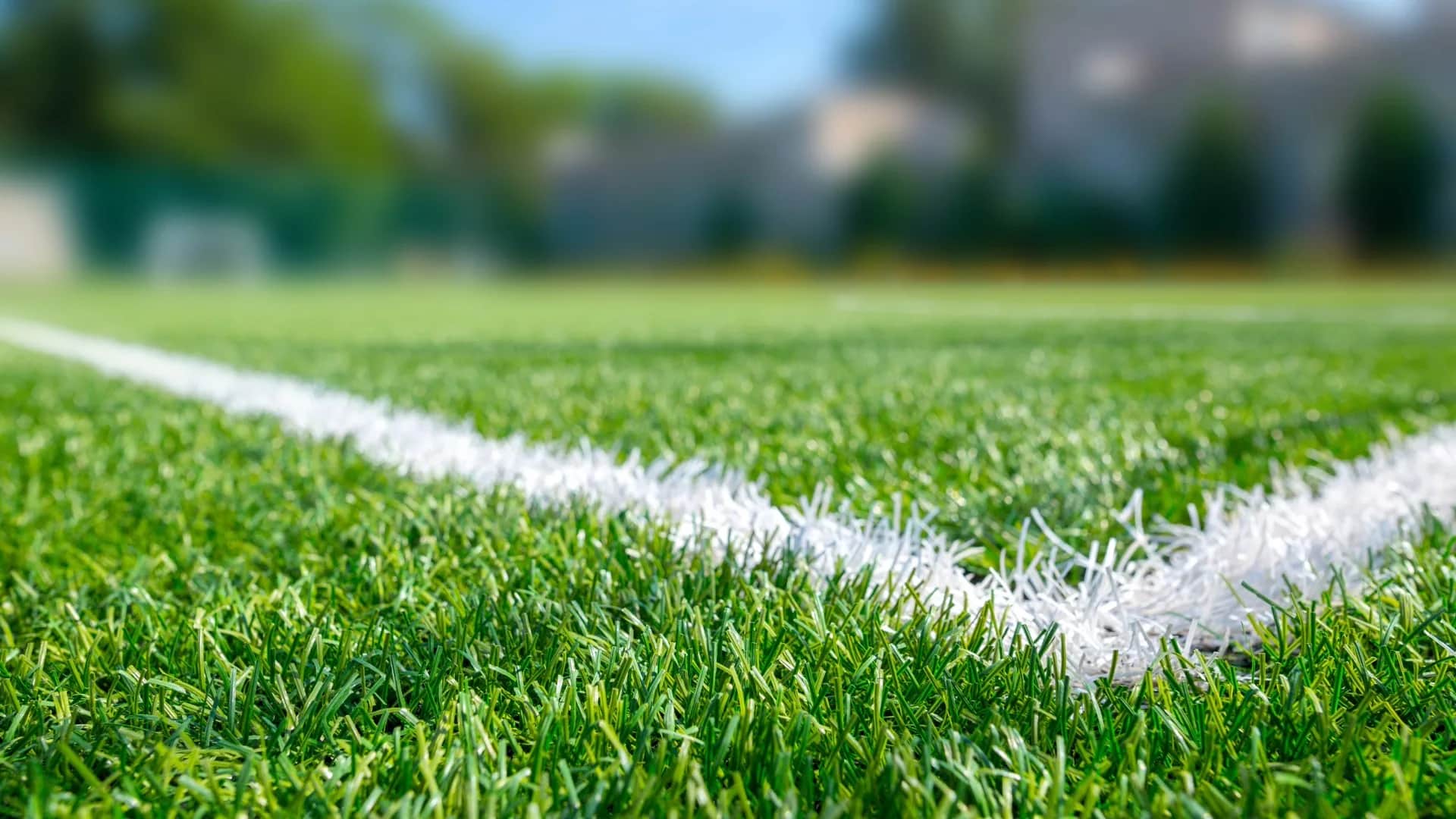 ملاعب العشب الصناعي